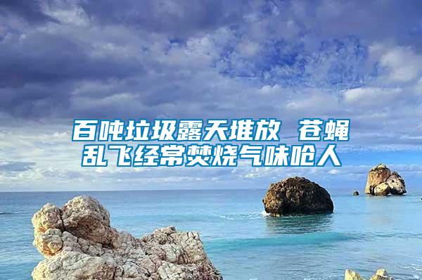 百吨垃圾露天堆放 苍蝇乱飞经常焚烧气味呛人