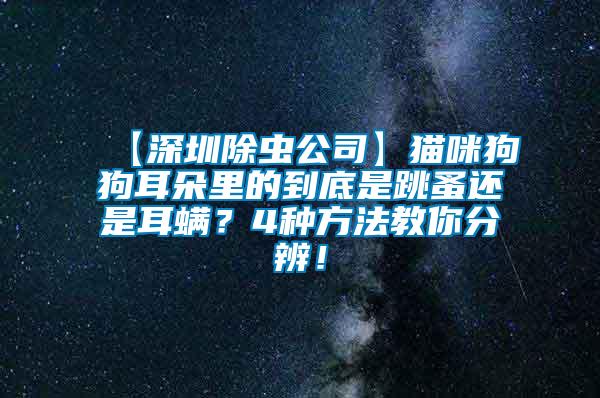 【深圳除虫公司】猫咪狗狗耳朵里的到底是跳蚤还是耳螨？4种方法教你分辨！