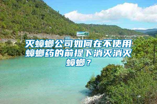 灭蟑螂公司如何在不使用蟑螂药的前提下消灭消灭蟑螂？