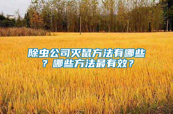 除虫公司灭鼠方法有哪些？哪些方法最有效？