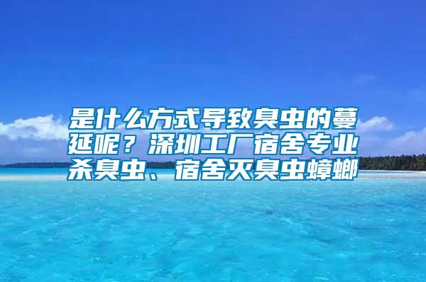 是什么方式导致臭虫的蔓延呢？深圳工厂宿舍专业杀臭虫、宿舍灭臭虫蟑螂