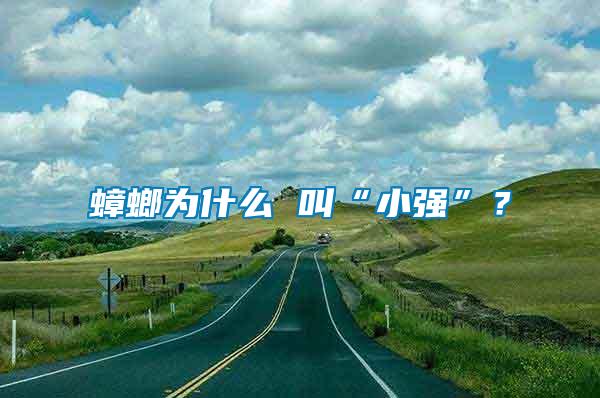 蟑螂为什么 叫“小强”？