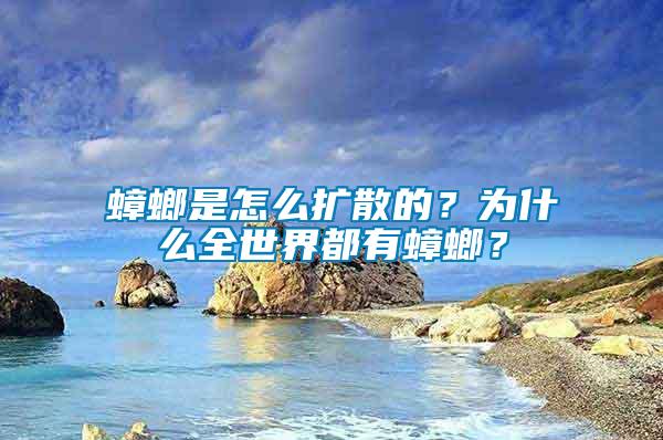 蟑螂是怎么扩散的？为什么全世界都有蟑螂？