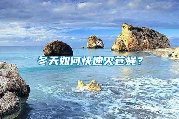 冬天如何快速灭苍蝇？