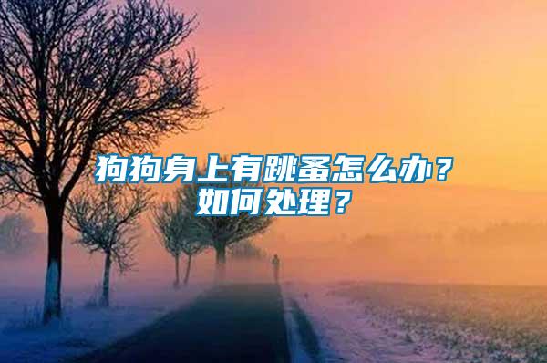 狗狗身上有跳蚤怎么办？如何处理？