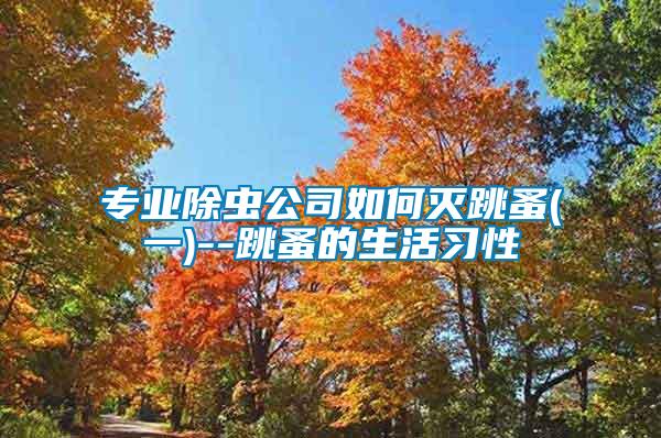 专业除虫公司如何灭跳蚤(一)--跳蚤的生活习性