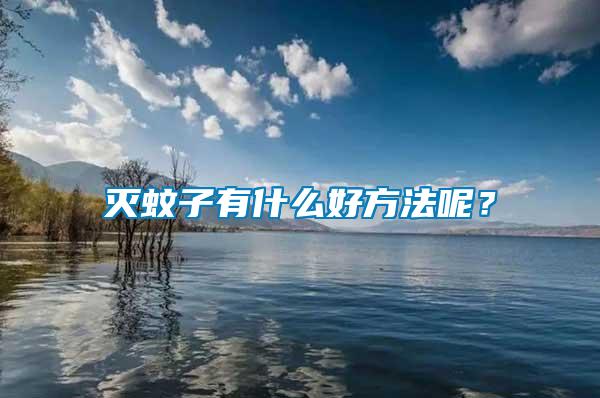 灭蚊子有什么好方法呢？