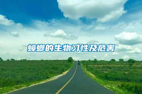 蟑螂的生物习性及危害