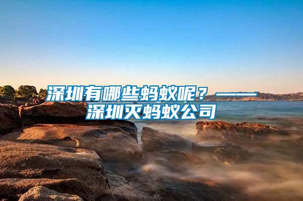 深圳有哪些蚂蚁呢？——深圳灭蚂蚁公司