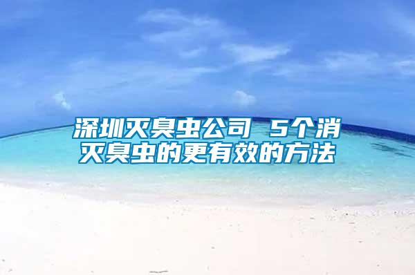 深圳灭臭虫公司 5个消灭臭虫的更有效的方法