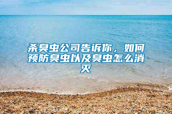 杀臭虫公司告诉你，如何预防臭虫以及臭虫怎么消灭