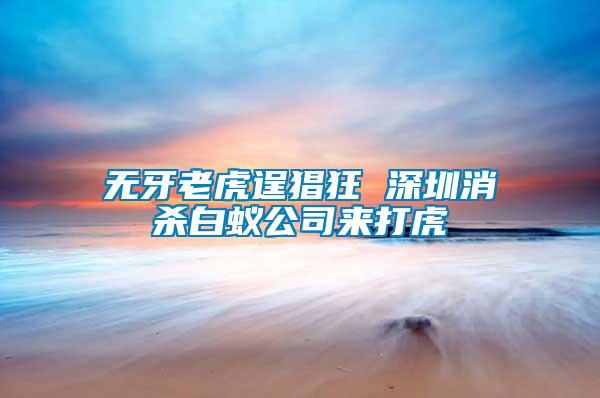 无牙老虎逞猖狂 深圳消杀白蚁公司来打虎