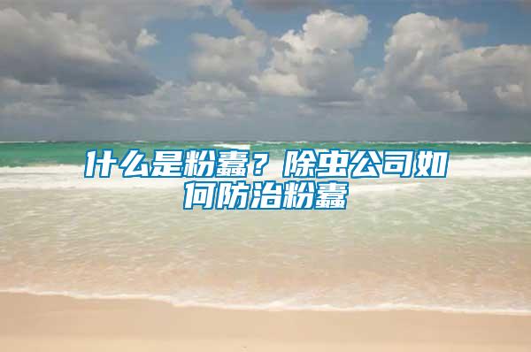 什么是粉蠹？除虫公司如何防治粉蠹