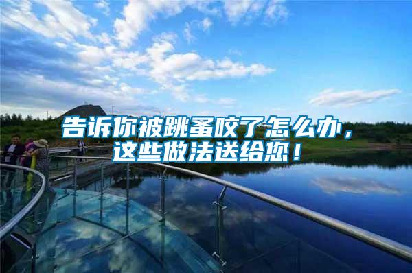 告诉你被跳蚤咬了怎么办，这些做法送给您！