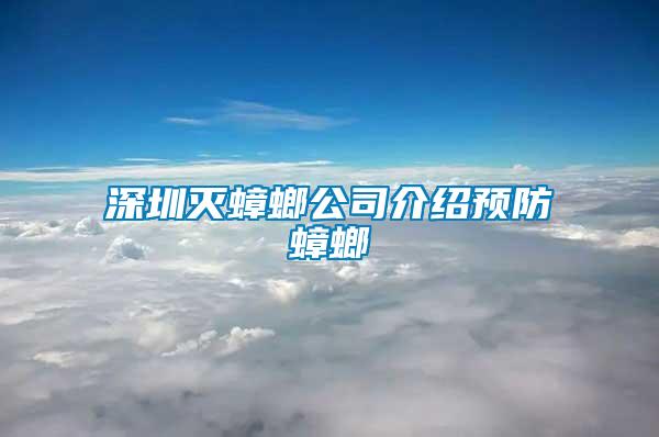 深圳灭蟑螂公司介绍预防蟑螂