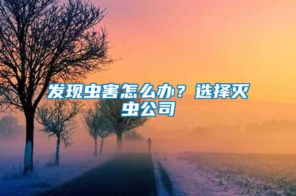 发现虫害怎么办？选择灭虫公司