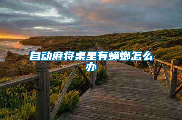 自动麻将桌里有蟑螂怎么办