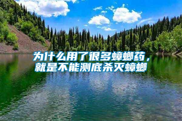 为什么用了很多蟑螂药，就是不能测底杀灭蟑螂