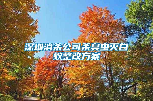 深圳消杀公司杀臭虫灭白蚁整改方案