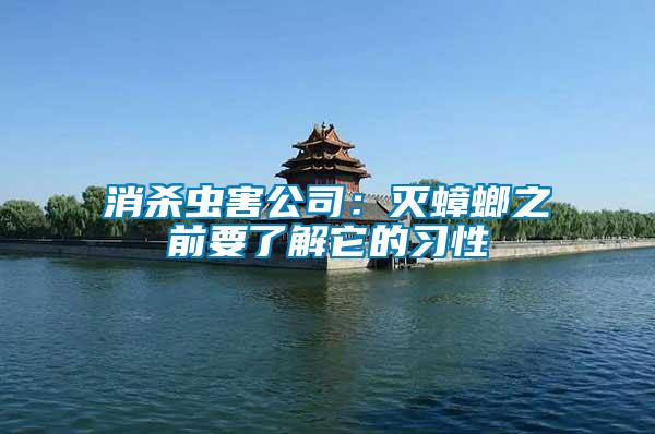 消杀虫害公司：灭蟑螂之前要了解它的习性