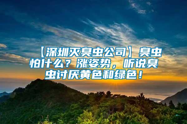 【深圳灭臭虫公司】臭虫怕什么？涨姿势，听说臭虫讨厌黄色和绿色！