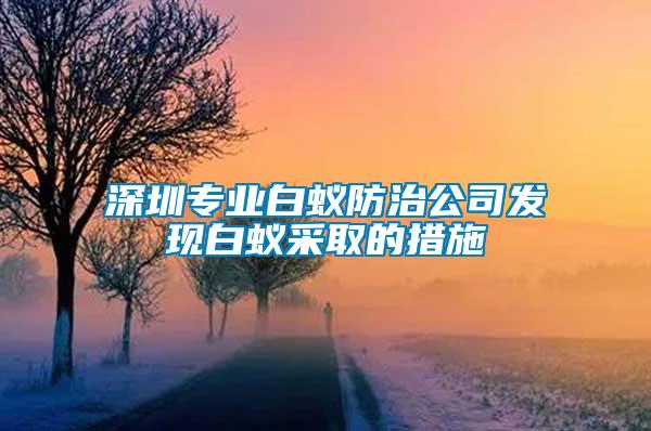 深圳专业白蚁防治公司发现白蚁采取的措施