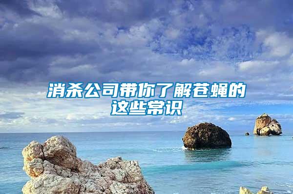 消杀公司带你了解苍蝇的这些常识