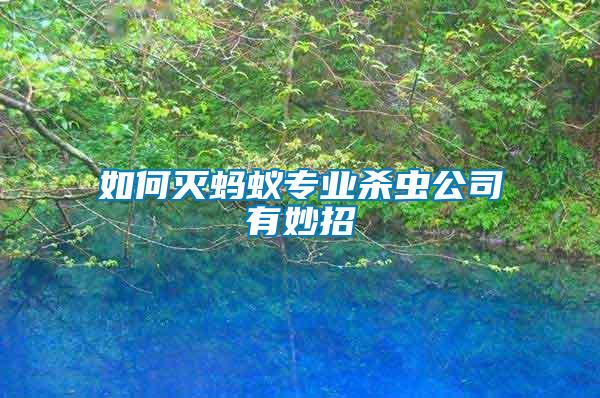 如何灭蚂蚁专业杀虫公司有妙招