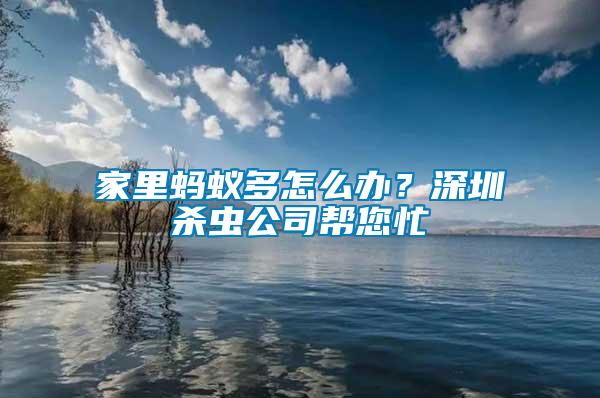 家里蚂蚁多怎么办？深圳杀虫公司帮您忙