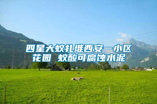四星大蚁扎堆西安一小区花园 蚁酸可腐蚀水泥