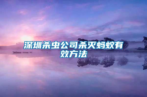 深圳杀虫公司杀灭蚂蚁有效方法