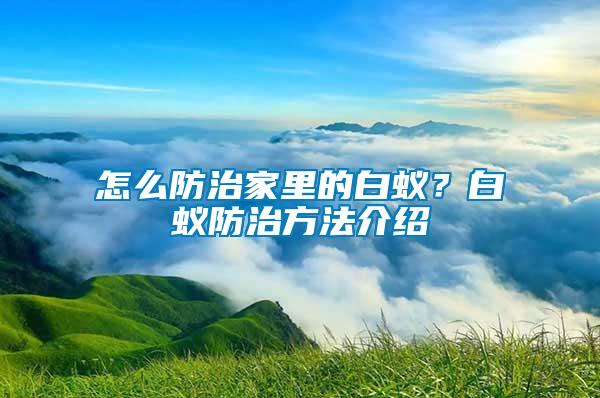 怎么防治家里的白蚁？白蚁防治方法介绍