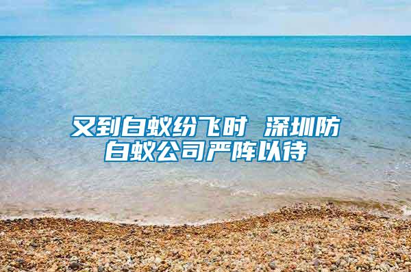 又到白蚁纷飞时 深圳防白蚁公司严阵以待