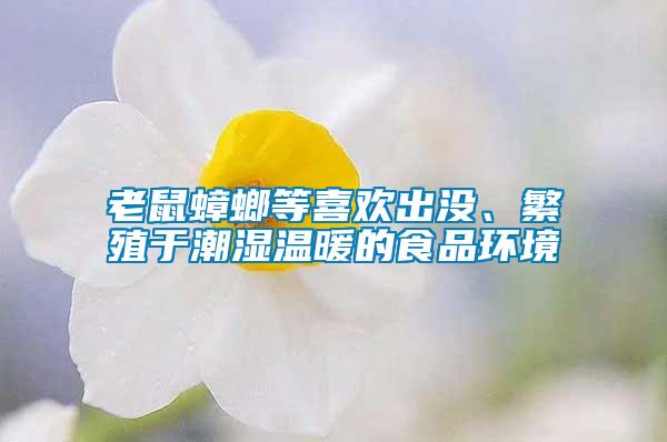 老鼠蟑螂等喜欢出没、繁殖于潮湿温暖的食品环境