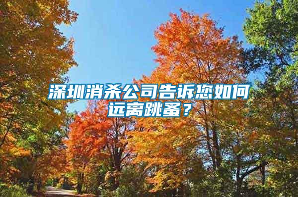 深圳消杀公司告诉您如何远离跳蚤？