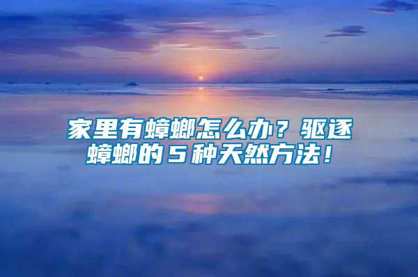 家里有蟑螂怎么办？驱逐蟑螂的５种天然方法！