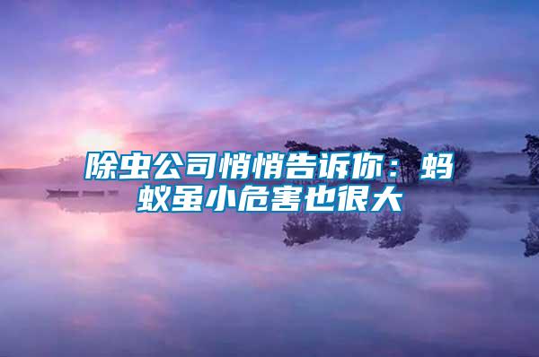 除虫公司悄悄告诉你：蚂蚁虽小危害也很大