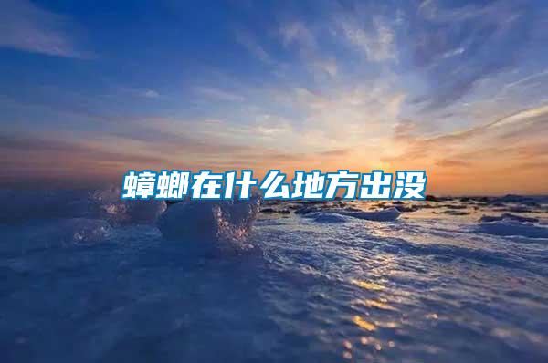 蟑螂在什么地方出没