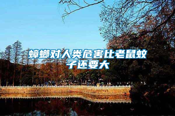蟑螂对人类危害比老鼠蚊子还要大