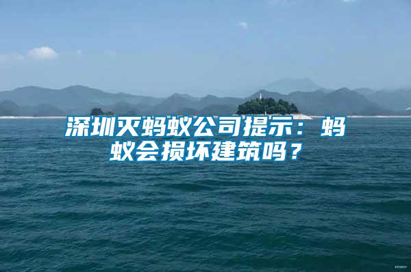 深圳灭蚂蚁公司提示：蚂蚁会损坏建筑吗？