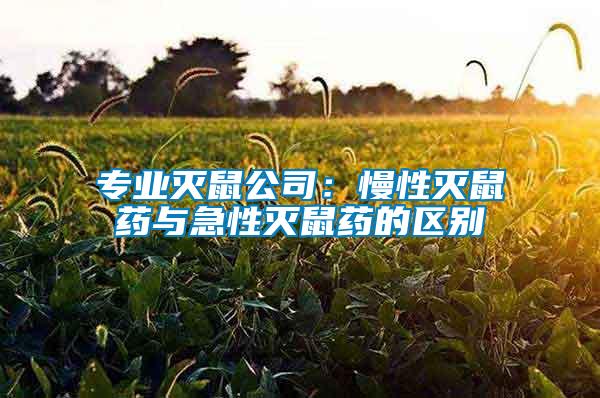 专业灭鼠公司：慢性灭鼠药与急性灭鼠药的区别