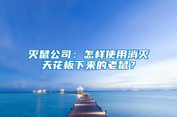 灭鼠公司：怎样使用消灭天花板下来的老鼠？