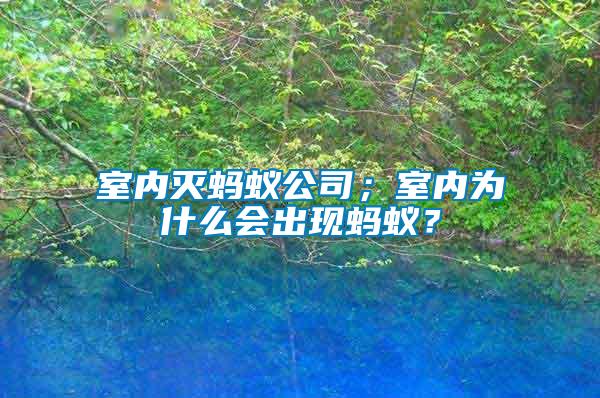 室内灭蚂蚁公司；室内为什么会出现蚂蚁？