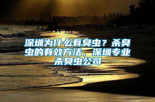 深圳为什么有臭虫？杀臭虫的有效方法，深圳专业杀臭虫公司