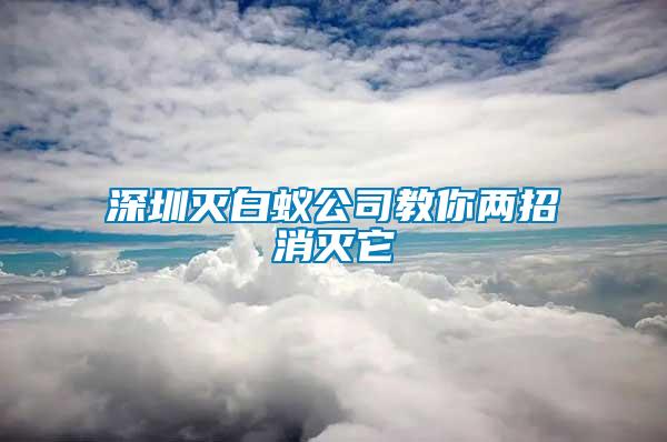 深圳灭白蚁公司教你两招消灭它