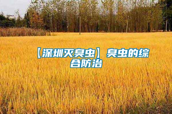 【深圳灭臭虫】臭虫的综合防治