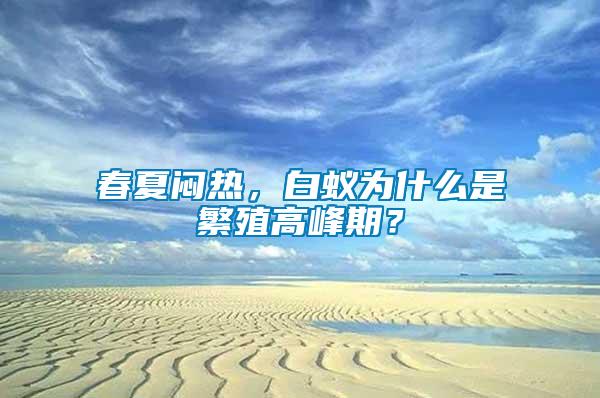 春夏闷热，白蚁为什么是繁殖高峰期？