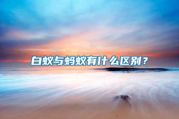 白蚁与蚂蚁有什么区别？