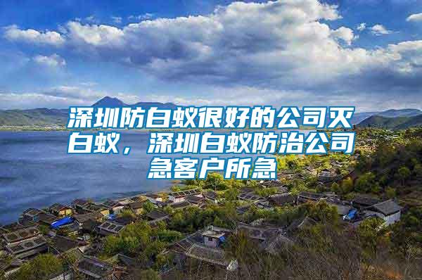 深圳防白蚁很好的公司灭白蚁，深圳白蚁防治公司急客户所急