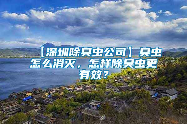 【深圳除臭虫公司】臭虫怎么消灭，怎样除臭虫更有效？